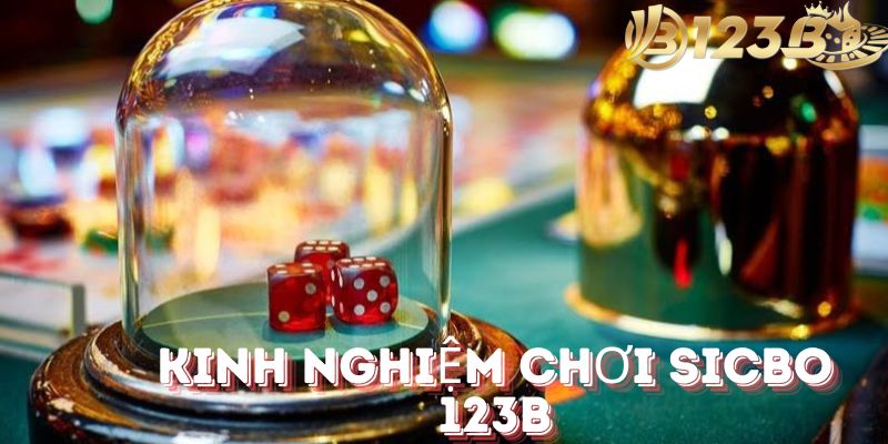 Kinh nghiệm chơi sicbo 123b